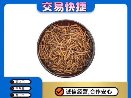 哈尔滨尚志市高价回收散虫草